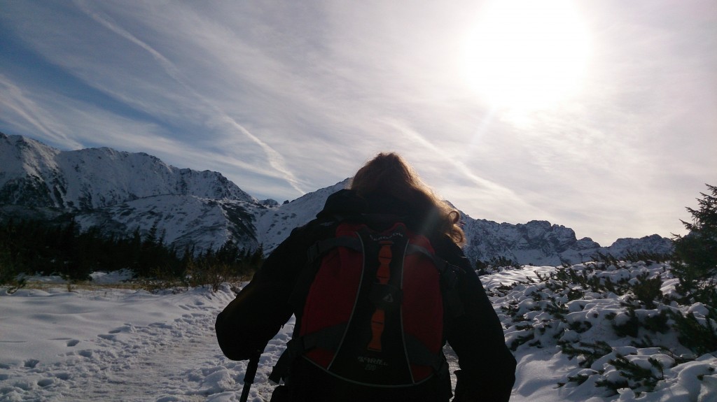 Zdjęcia: Tatry, Tatry Zachodnie, W drodze na szczyt, POLSKA Zdjęcia: Tatry, Tatry Zachodnie, W drodze na szczyt, POLSKA