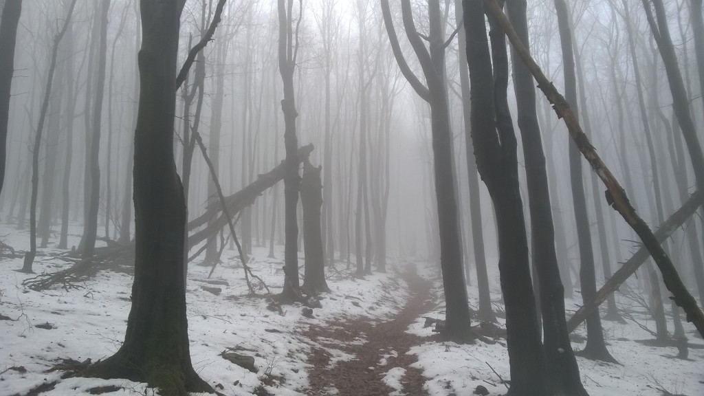 Zdjęcia: Beskid Niski, Magura, Podkarpacie, Beskid Niski i uroki chmur, POLSKA Zdjęcia: Beskid Niski, Magura, Podkarpacie, Beskid Niski i uroki chmur, POLSKA