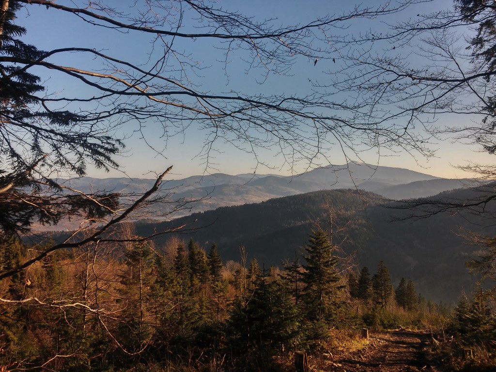 Zdjęcia: pod Romanką, beskid żywiecki, w tle Babia Góra, POLSKA Zdjęcia: pod Romanką, beskid żywiecki, w tle Babia Góra, POLSKA