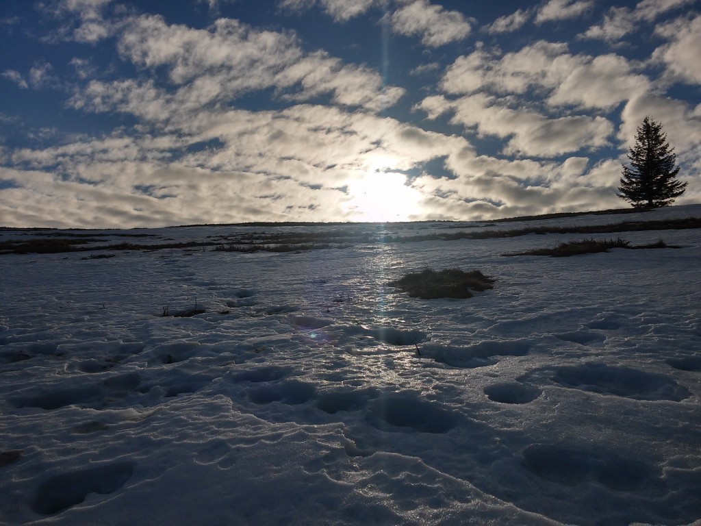 Zdjęcia: pod Romanką, beskid żywiecki, śnieg...chmury i błękit nieba..., POLSKA Zdjęcia: pod Romanką, beskid żywiecki, śnieg...chmury i błękit nieba..., POLSKA