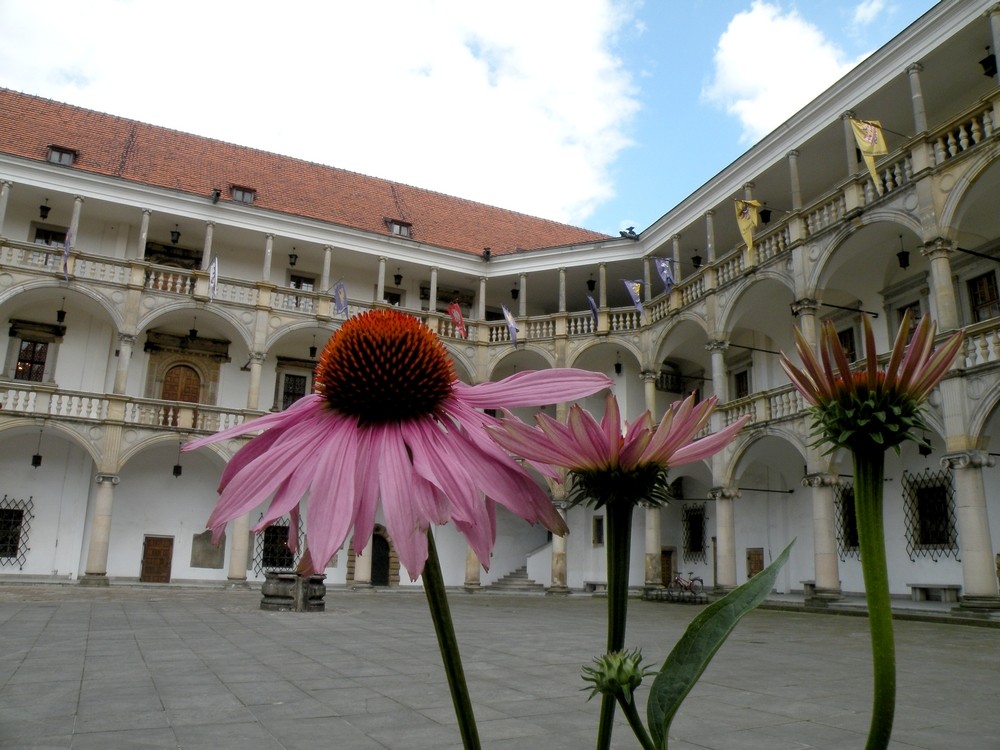 Zdjęcia: zamek, Brzeg, opolskie, Dziedziniec zamku w Brzegu, POLSKA Zdjęcia: zamek, Brzeg, opolskie, Dziedziniec zamku w Brzegu, POLSKA