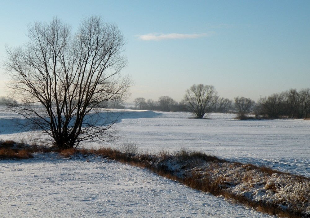 Zdjęcia: Groszowice, opolskie, Zimowy pejzażyk , POLSKA Zdjęcia: Groszowice, opolskie, Zimowy pejzażyk , POLSKA