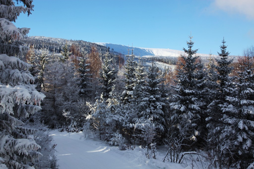 Zdjęcia: Karpacz, Karkonosze, Przyprószone, POLSKA Zdjęcia: Karpacz, Karkonosze, Przyprószone, POLSKA