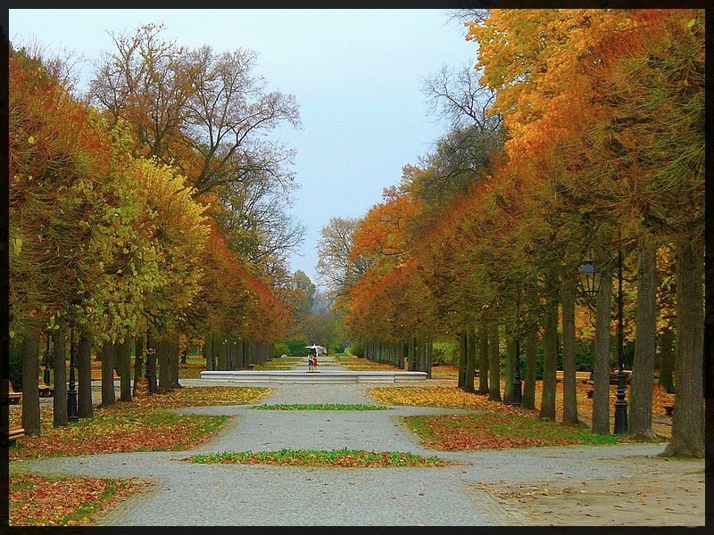 Zdjęcia: Ciechocinek, kujawsko pomorskie, Aleja spacerowa za amfiteatrem, POLSKA Zdjęcia: Ciechocinek, kujawsko pomorskie, Aleja spacerowa za amfiteatrem, POLSKA