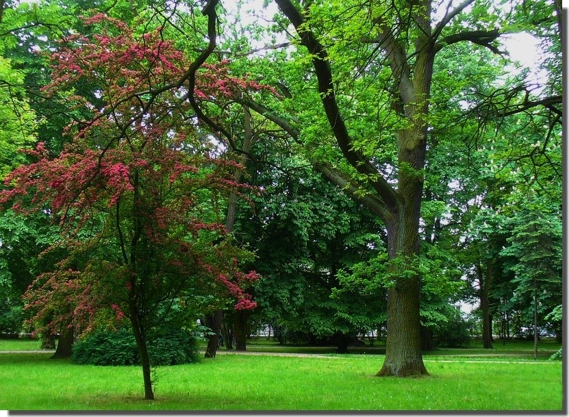 Zdjęcia: w kurorcie, kujawsko pomorskie, Park, POLSKA Zdjęcia: w kurorcie, kujawsko pomorskie, Park, POLSKA