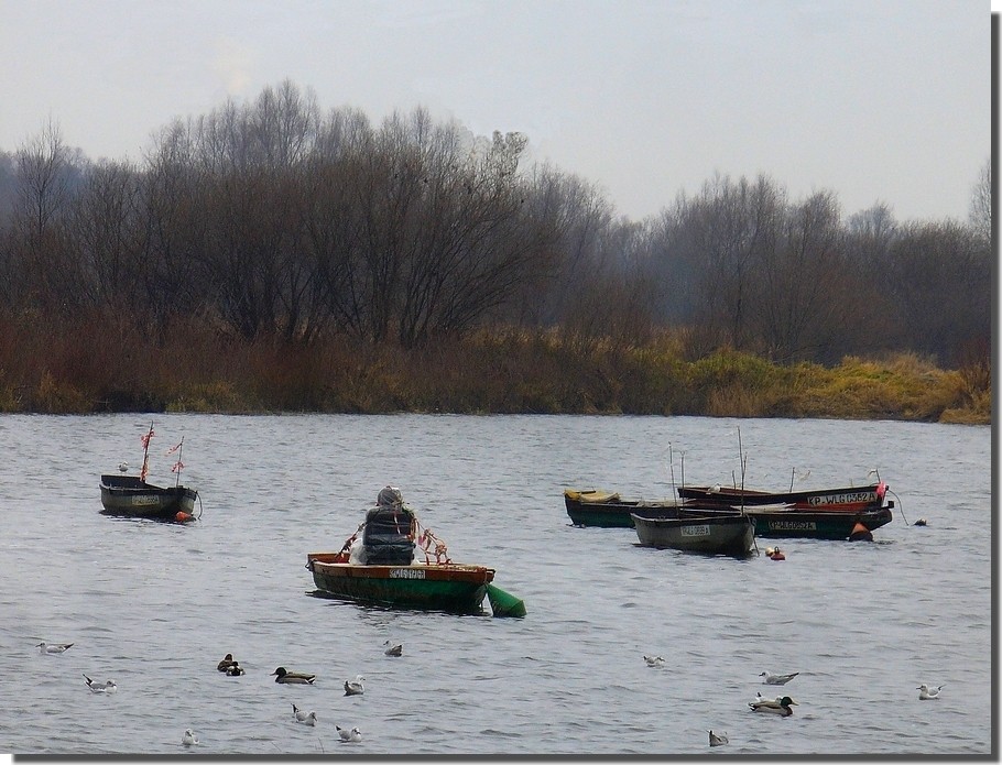 Zdjęcia: Włocławek, kujawsko pomorskie, Wisła na odcinku Włocławka, POLSKA Zdjęcia: Włocławek, kujawsko pomorskie, Wisła na odcinku Włocławka, POLSKA