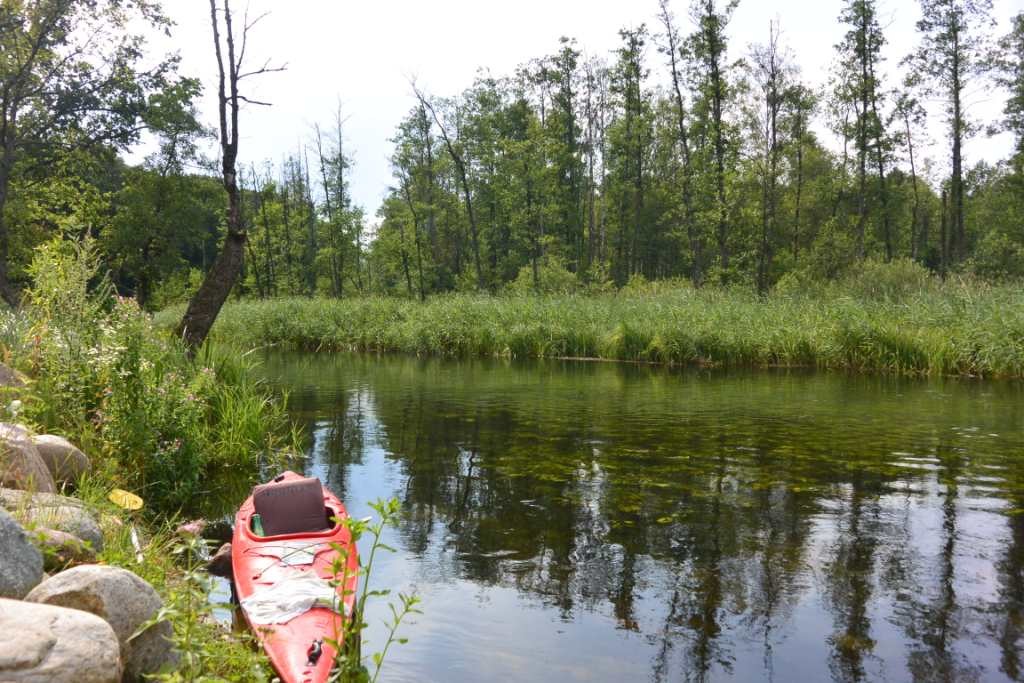 Zdjęcia: rzeka Krutyń, mazury, Krutynia, POLSKA Zdjęcia: rzeka Krutyń, mazury, Krutynia, POLSKA