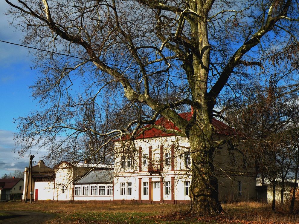 Zdjęcia: Łączany, opolskie, Willa przy dawnym pałacu., POLSKA Zdjęcia: Łączany, opolskie, Willa przy dawnym pałacu., POLSKA