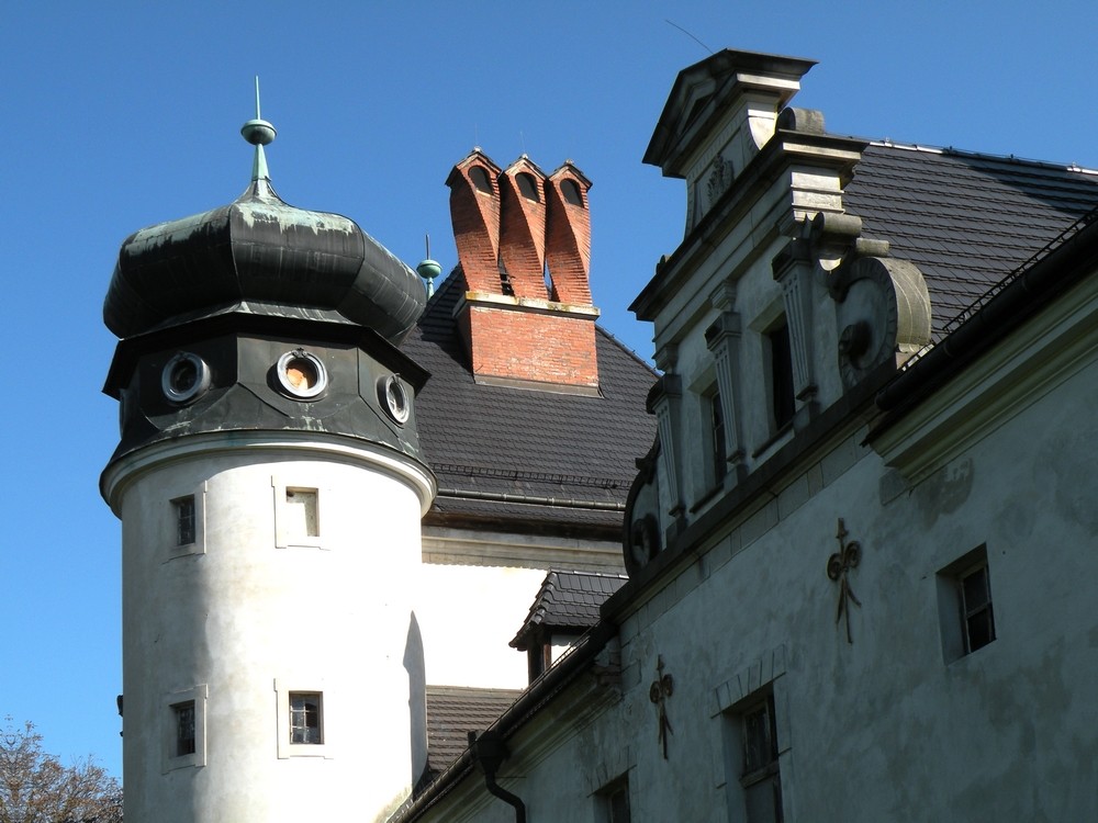 Zdjęcia: Dąbrowa Niemodlińska, opolskie, Pałac w Dąbrowie, POLSKA Zdjęcia: Dąbrowa Niemodlińska, opolskie, Pałac w Dąbrowie, POLSKA