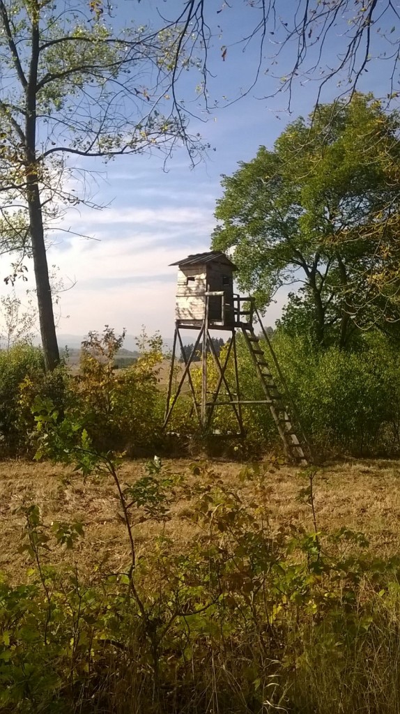 Zdjęcia: Wolibórz, Góry Sowie, Ambona, POLSKA Zdjęcia: Wolibórz, Góry Sowie, Ambona, POLSKA