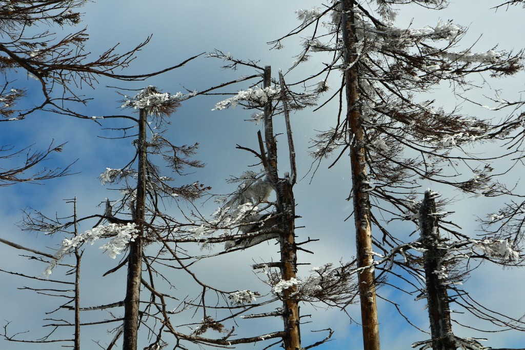 Zdjęcia: Szczyrk, Beskid Śląski, W drodze na Malinowską Skałę, POLSKA Zdjęcia: Szczyrk, Beskid Śląski, W drodze na Malinowską Skałę, POLSKA