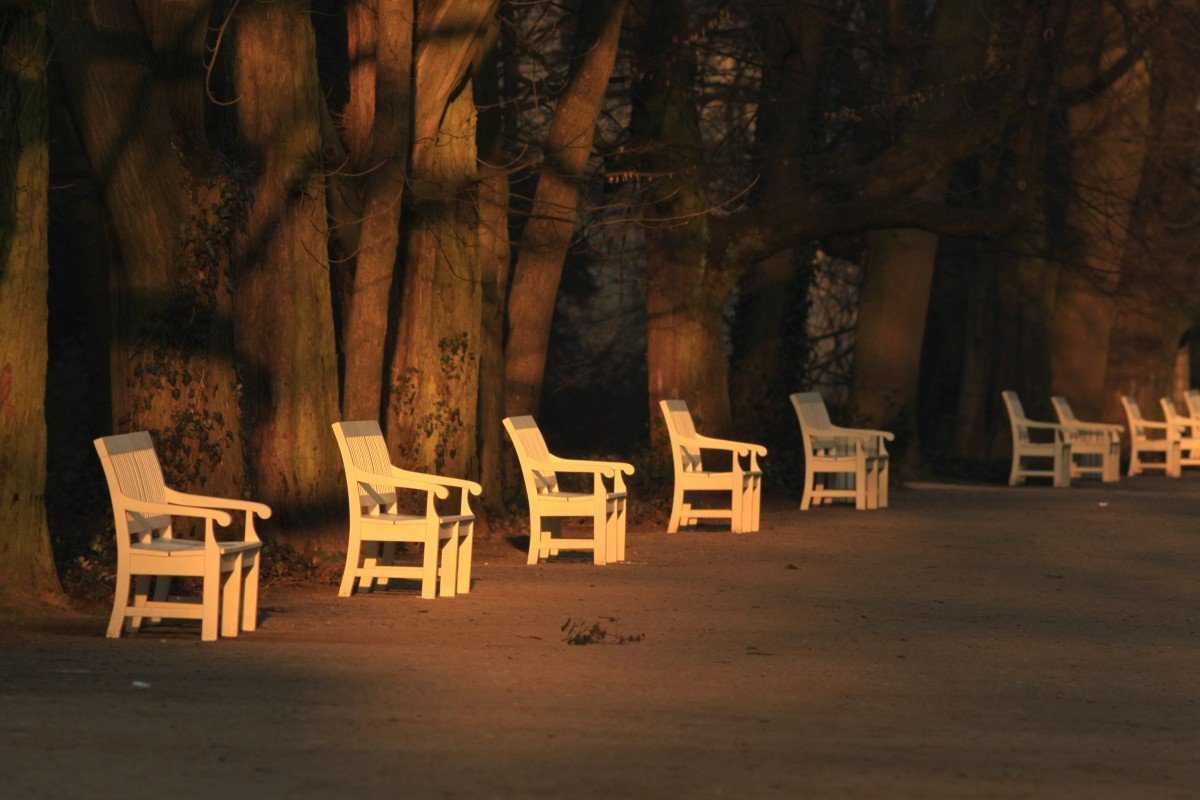 Zdjęcia: Warszawa, mazowieckie, Czekając na odwiedzających..., POLSKA Zdjęcia: Warszawa, mazowieckie, Czekając na odwiedzających..., POLSKA