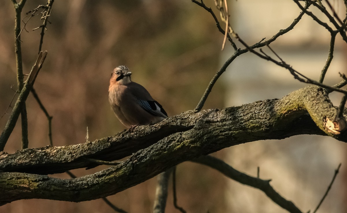Zdjęcia: Warszawa, mazowieckie, Ta co się wybierała za morze... tzn. globtroterka :), POLSKA Zdjęcia: Warszawa, mazowieckie, Ta co się wybierała za morze... tzn. globtroterka :), POLSKA