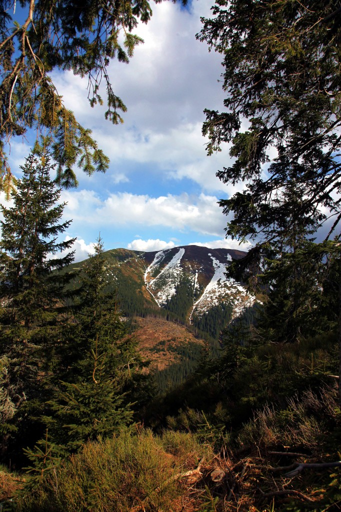 Zdjęcia: W drodze na Trzydniowiański Wierch, Tatry, Wiosna w górach, POLSKA Zdjęcia: W drodze na Trzydniowiański Wierch, Tatry, Wiosna w górach, POLSKA