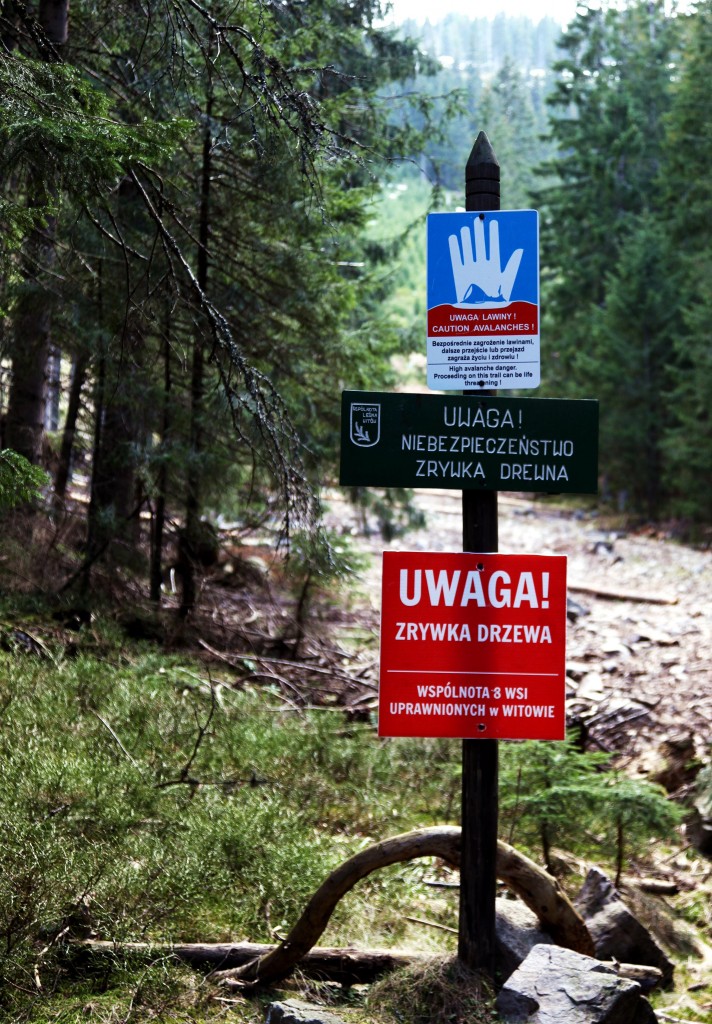 Zdjęcia: Dolina Chochołowska, Tatry, Ech, polszczyzno..., POLSKA Zdjęcia: Dolina Chochołowska, Tatry, Ech, polszczyzno..., POLSKA