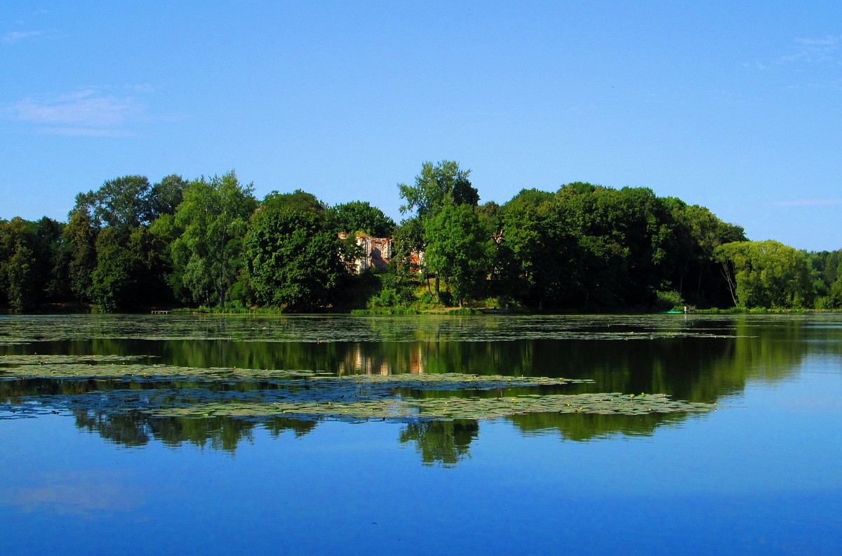 Zdjęcia: Bychawa, lubelskie, Staw , POLSKA Zdjęcia: Bychawa, lubelskie, Staw , POLSKA