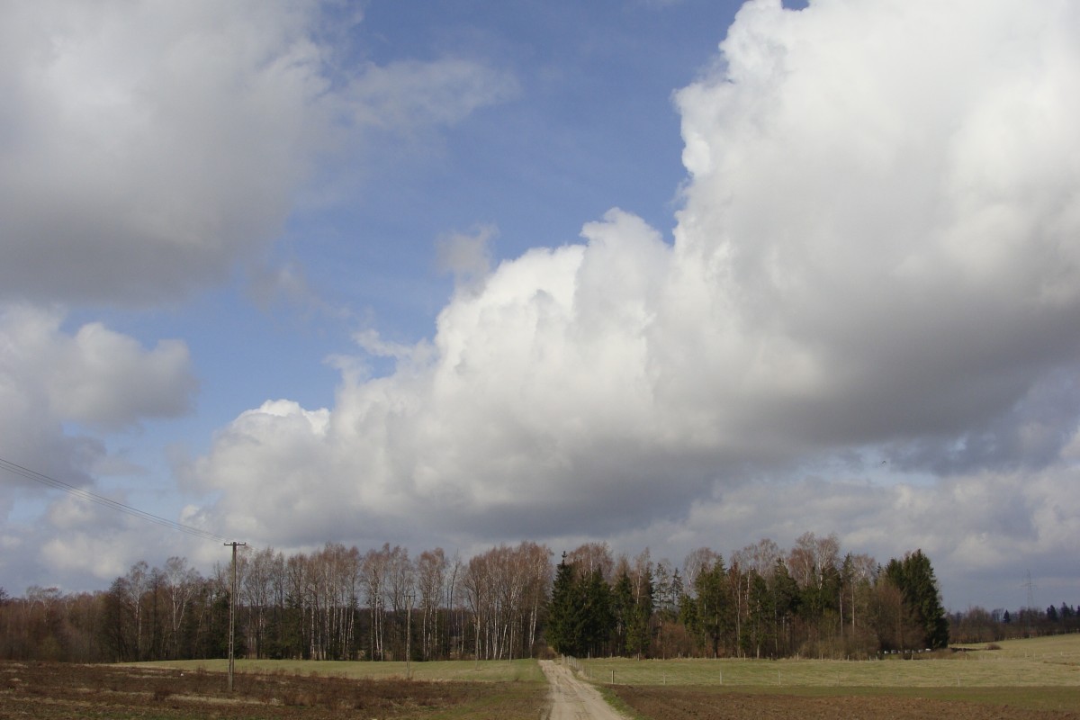 Zdjęcia: na wsi, Mazury, Krajobraz, POLSKA Zdjęcia: na wsi, Mazury, Krajobraz, POLSKA