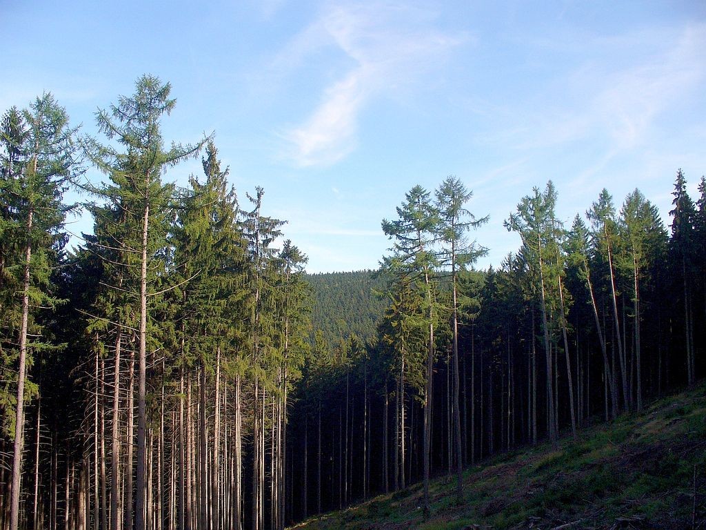 Zdjęcia: Jarnołtówek, opolskie, W drodze do schroniska., POLSKA Zdjęcia: Jarnołtówek, opolskie, W drodze do schroniska., POLSKA