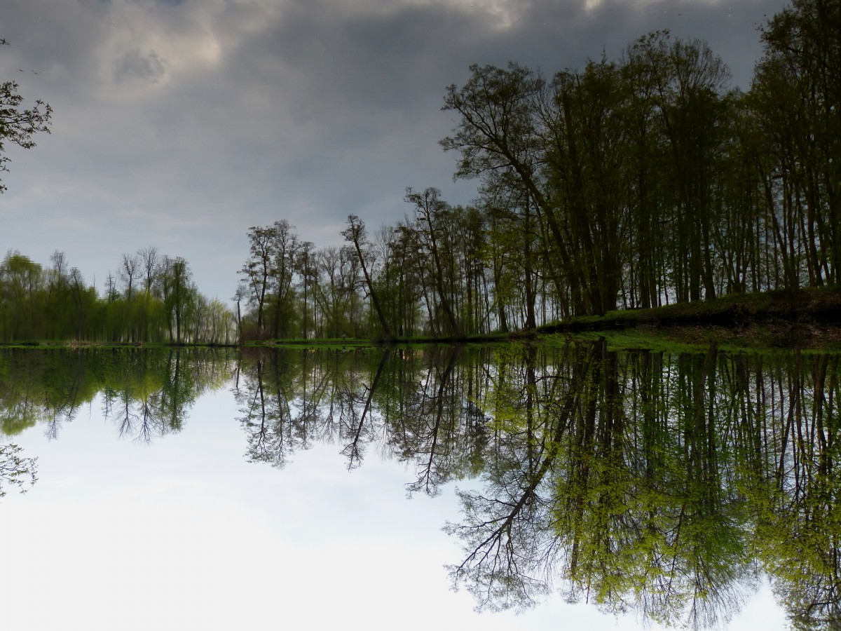 Zdjęcia: Park Arkadia, Województwo łódzkie, Przewrotnie..., POLSKA Zdjęcia: Park Arkadia, Województwo łódzkie, Przewrotnie..., POLSKA