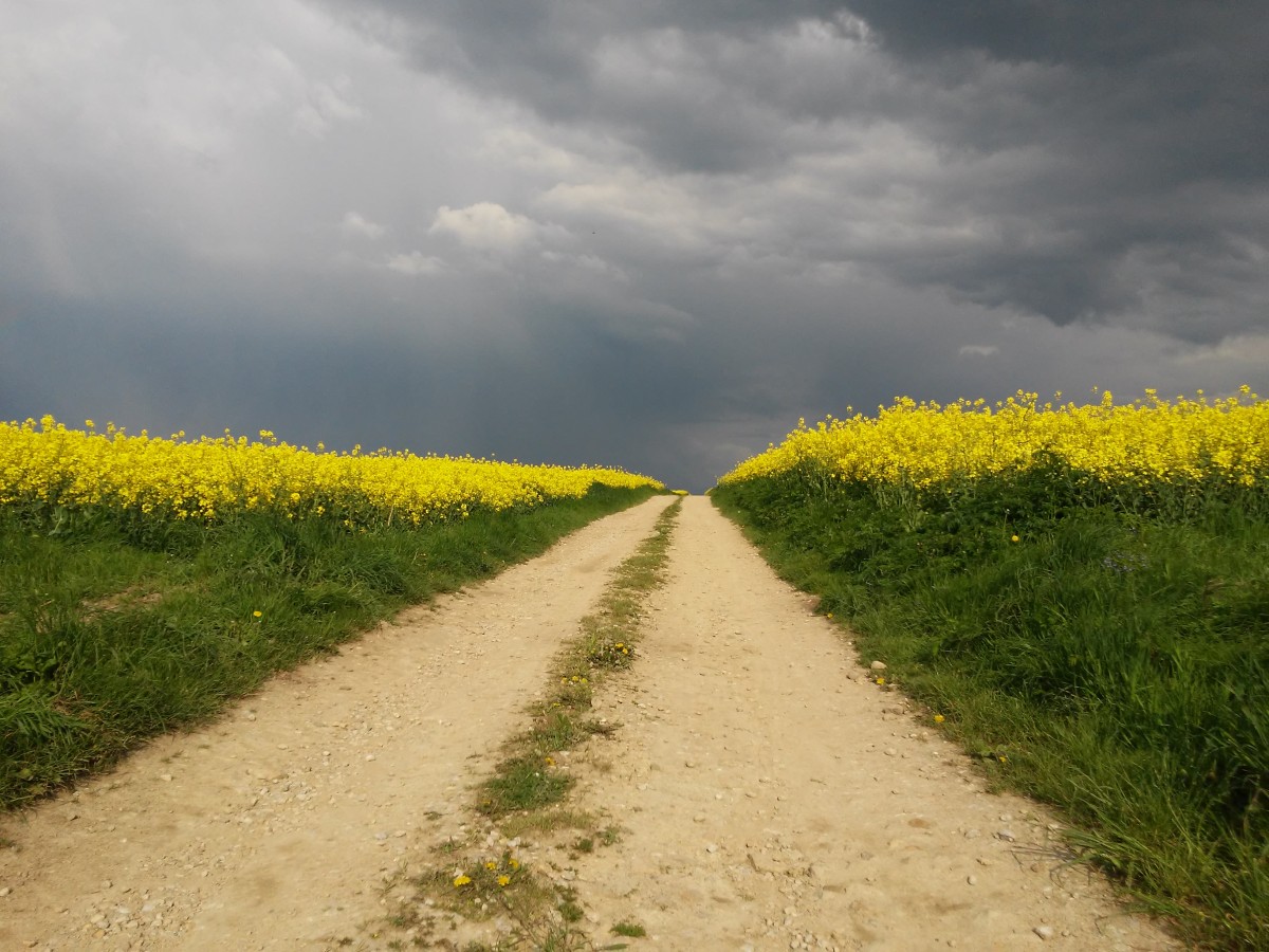 Zdjęcia: Spytkowice -dolina karpia, małopolska, cisza przed burzą, POLSKA Zdjęcia: Spytkowice -dolina karpia, małopolska, cisza przed burzą, POLSKA