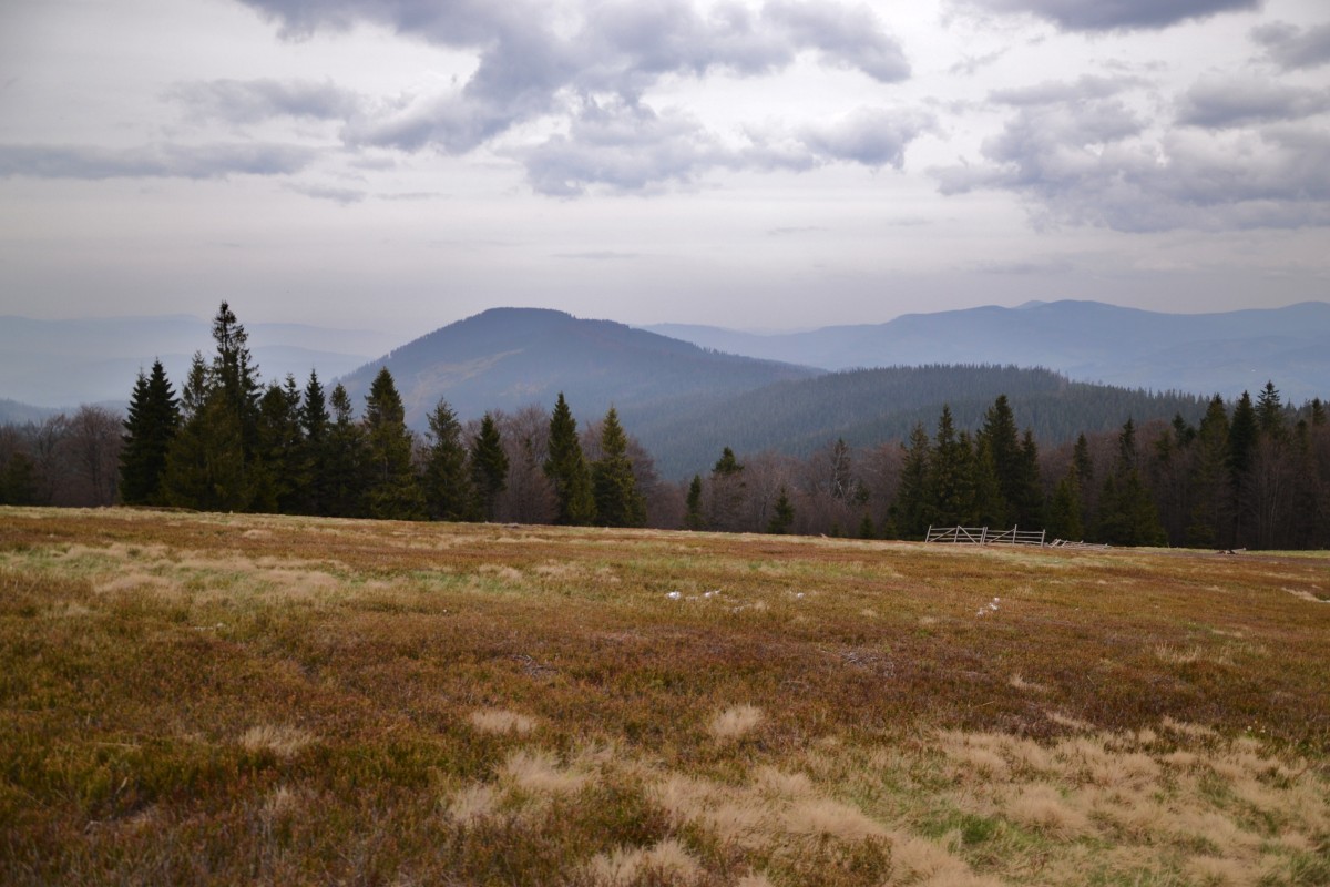 Zdjęcia: Hala Rycerzowa, Beskid Żywiecki, Na hali, POLSKA Zdjęcia: Hala Rycerzowa, Beskid Żywiecki, Na hali, POLSKA