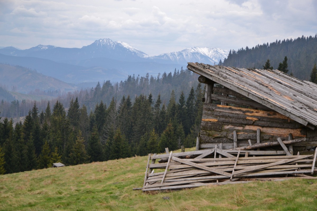 Zdjęcia: Hala Rycerzowa, Beskid Żywiecki, Widok na Małą Fatre, POLSKA Zdjęcia: Hala Rycerzowa, Beskid Żywiecki, Widok na Małą Fatre, POLSKA