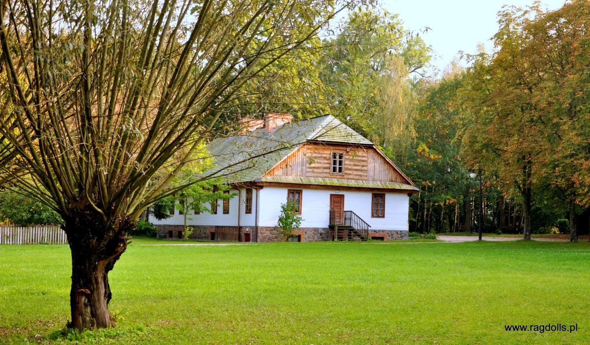 Zdjęcia: Muzeum wsi Polskiej w Ciechanowcu, Ciechanowiec, Chatka , POLSKA Zdjęcia: Muzeum wsi Polskiej w Ciechanowcu, Ciechanowiec, Chatka , POLSKA