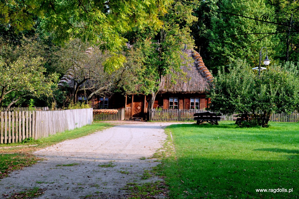 Zdjęcia: Muzeum wsi Polskiej w Ciechanowcu, Ciechanowiec, Wiejskie klimaty, POLSKA Zdjęcia: Muzeum wsi Polskiej w Ciechanowcu, Ciechanowiec, Wiejskie klimaty, POLSKA