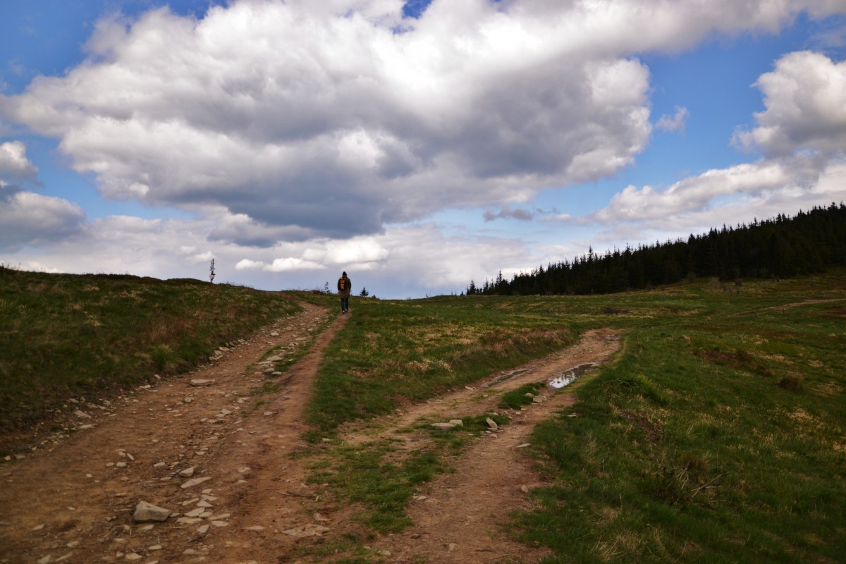 Zdjęcia: Przełęcz Kucałowa, Beskid Żywiecki, Na przełęczy, POLSKA Zdjęcia: Przełęcz Kucałowa, Beskid Żywiecki, Na przełęczy, POLSKA