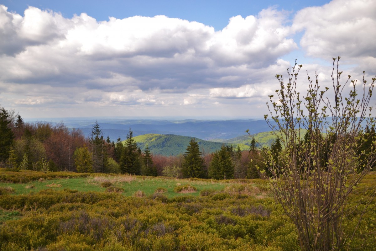 Zdjęcia: Hala Kucałowa, Beskid Żywiecki, Beskidzka wiosna III, POLSKA Zdjęcia: Hala Kucałowa, Beskid Żywiecki, Beskidzka wiosna III, POLSKA