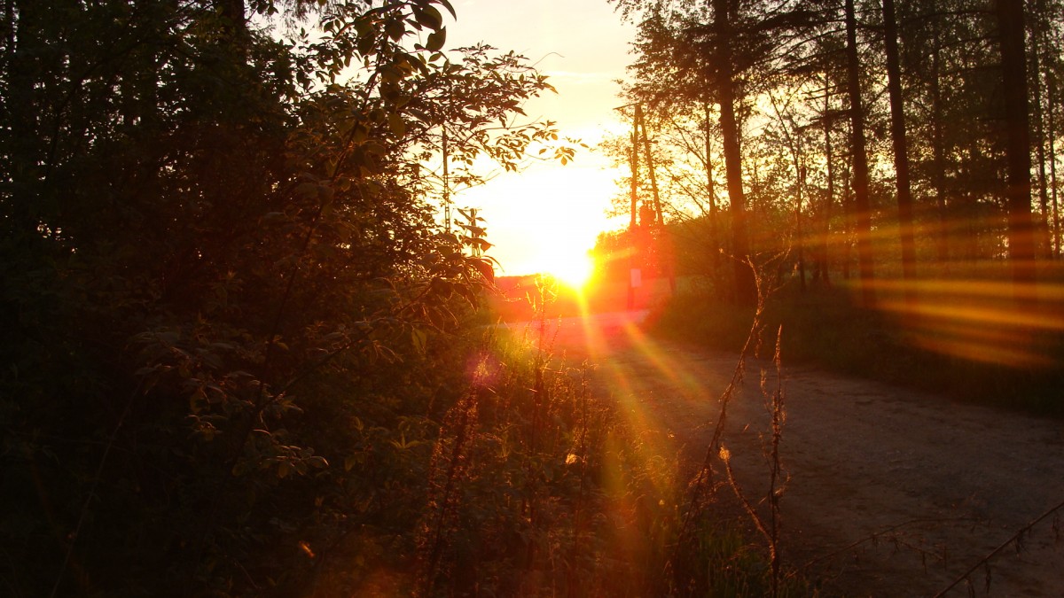 Zdjęcia: Kraskowo, Mazury, Zachód, POLSKA Zdjęcia: Kraskowo, Mazury, Zachód, POLSKA