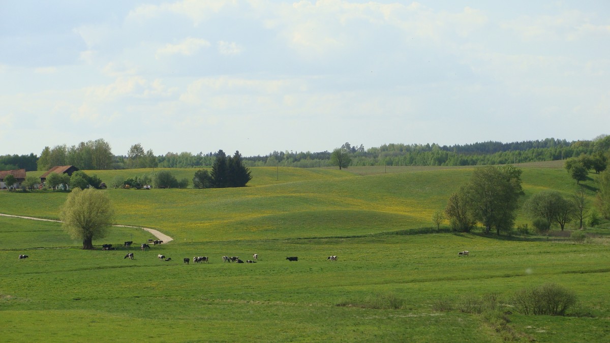 Zdjęcia: okolice Olsztyna, Mazury, Krajobraz, POLSKA Zdjęcia: okolice Olsztyna, Mazury, Krajobraz, POLSKA