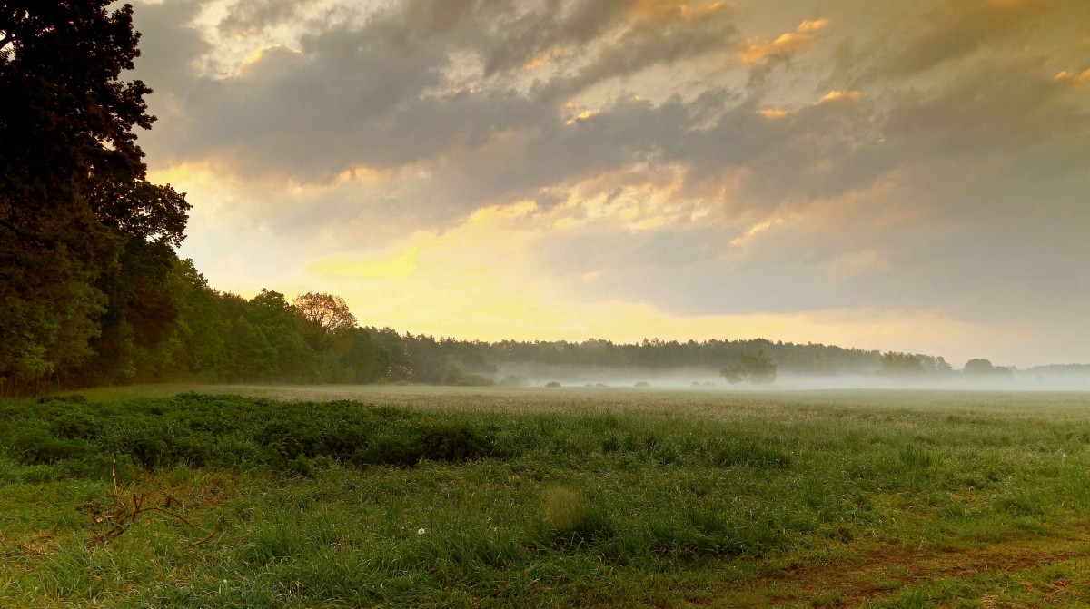 Zdjęcia: Nadnoteckie łęgi, pow-żniński, Rano, bladym świtem... -2, POLSKA Zdjęcia: Nadnoteckie łęgi, pow-żniński, Rano, bladym świtem... -2, POLSKA