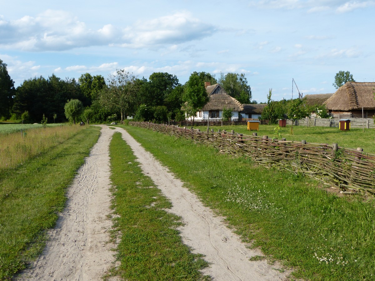 Zdjęcia: Sierpc, mazowieckie, Sielsko, POLSKA Zdjęcia: Sierpc, mazowieckie, Sielsko, POLSKA
