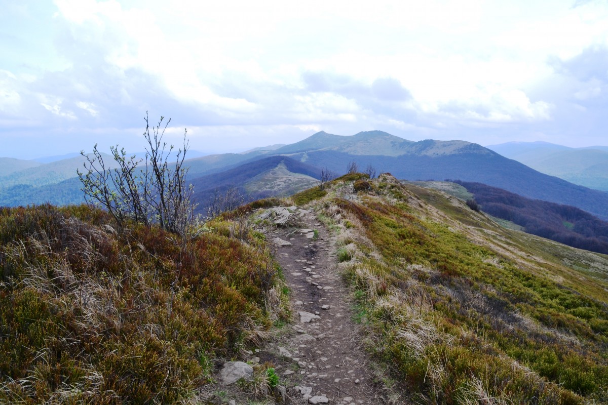 Zdjęcia: Smerek, Bieszczady, Na połoninach, POLSKA Zdjęcia: Smerek, Bieszczady, Na połoninach, POLSKA