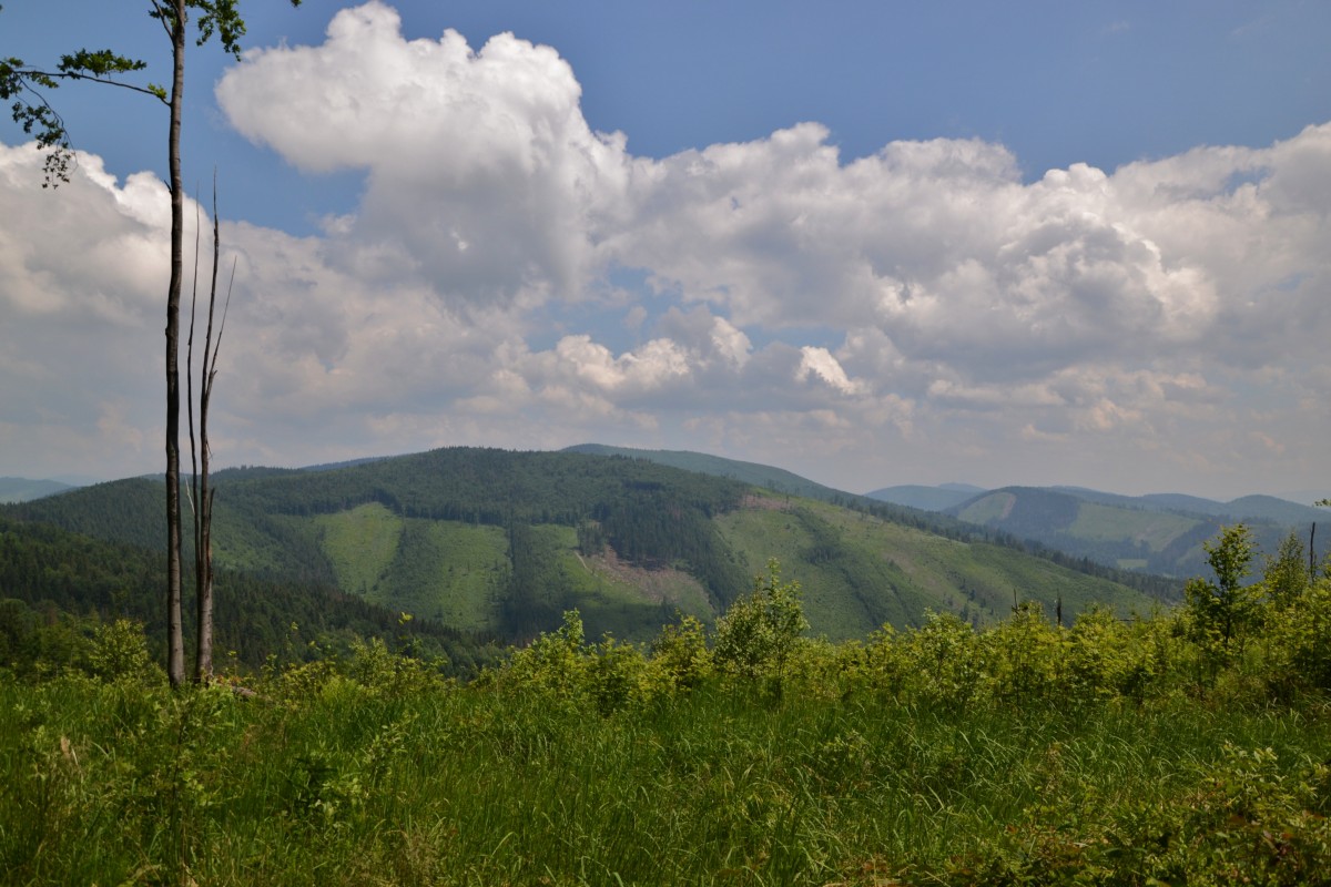 Zdjęcia: Jaworzyna, Beskid Żywiecki, Widok na Kysuce, POLSKA Zdjęcia: Jaworzyna, Beskid Żywiecki, Widok na Kysuce, POLSKA