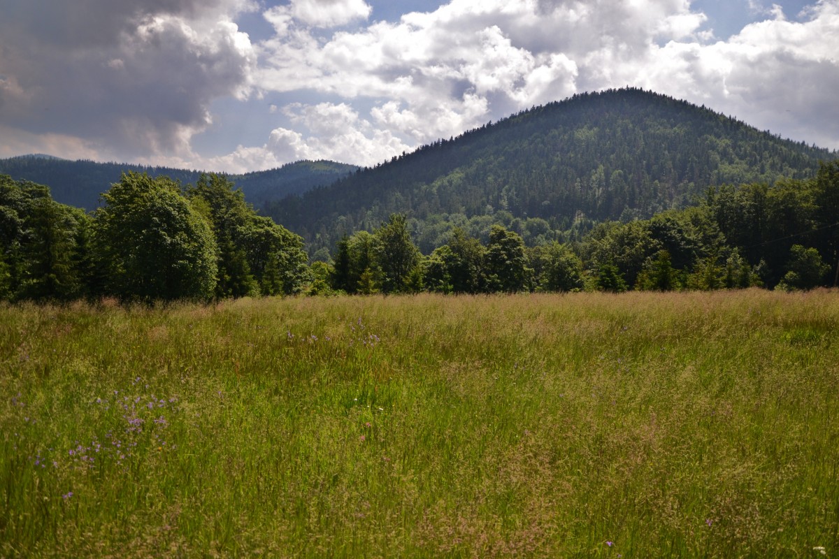 Zdjęcia: Przegibek, Beskid Żywiecki, Bania, POLSKA Zdjęcia: Przegibek, Beskid Żywiecki, Bania, POLSKA