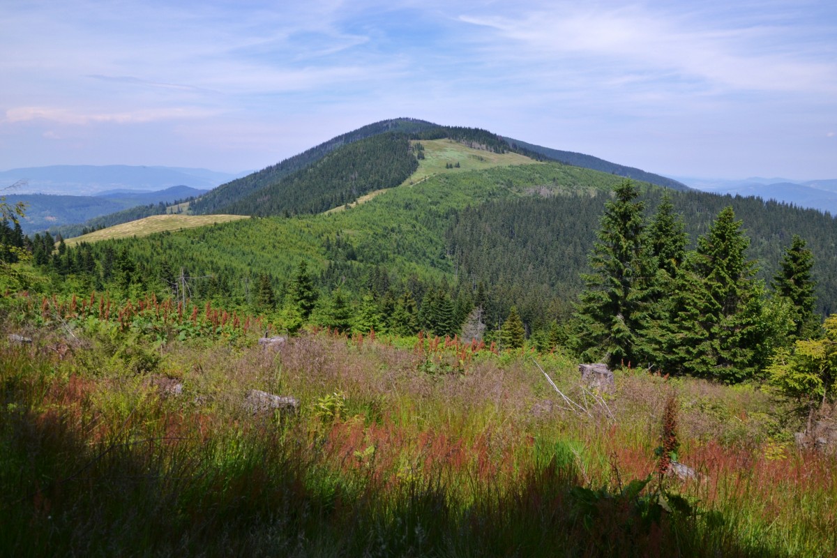 Zdjęcia: szlak na Pawlusią, Beskid Żywiecki, Romanka, POLSKA Zdjęcia: szlak na Pawlusią, Beskid Żywiecki, Romanka, POLSKA