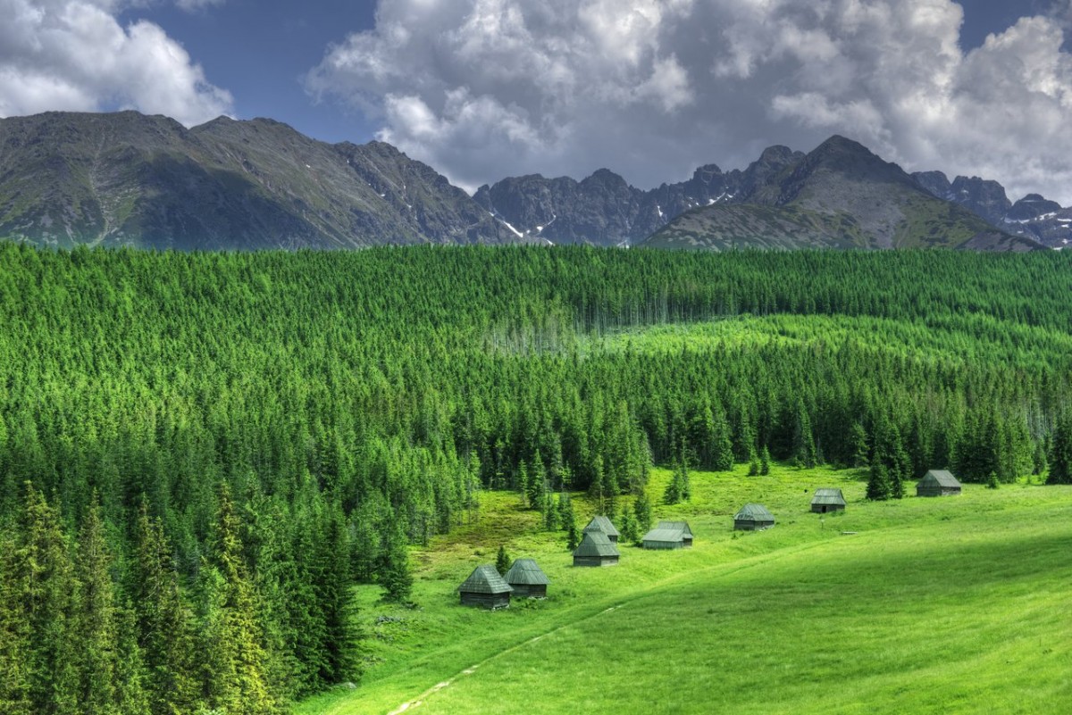 Zdjęcia: Tatry, Małopolska, Hala pod Wielkim Kopieńcem, POLSKA Zdjęcia: Tatry, Małopolska, Hala pod Wielkim Kopieńcem, POLSKA