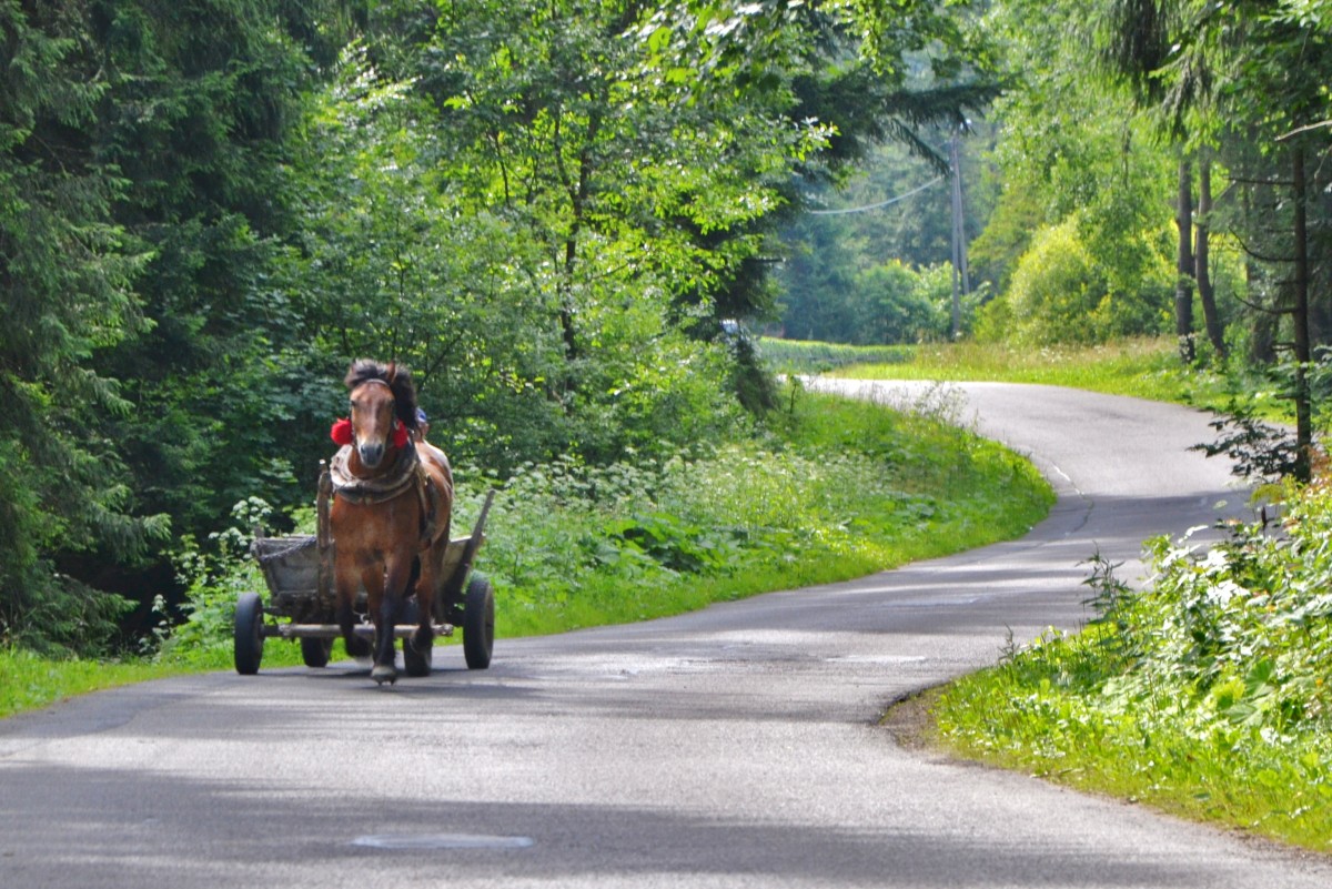 Zdjęcia: Żabnica, Beskid Żywiecki, Bryka, POLSKA Zdjęcia: Żabnica, Beskid Żywiecki, Bryka, POLSKA