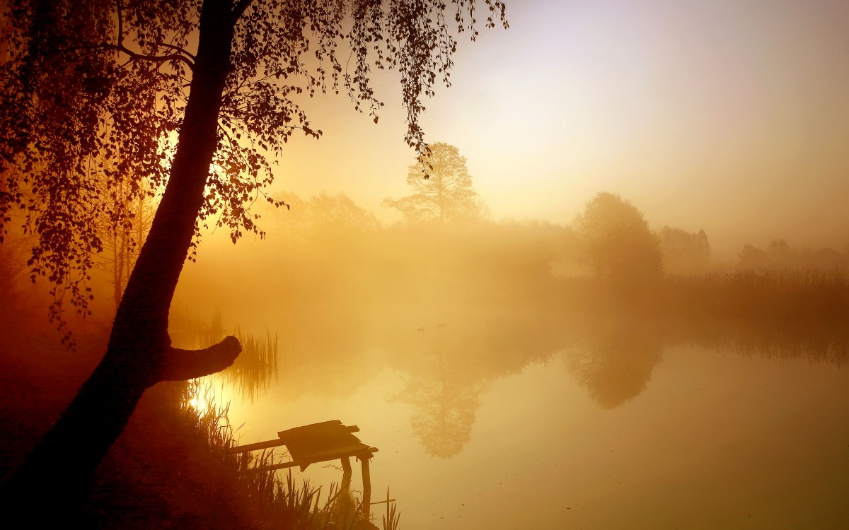 Zdjęcia: Dolina Noteci, pow-żniński, Błądzić we mgle , POLSKA Zdjęcia: Dolina Noteci, pow-żniński, Błądzić we mgle , POLSKA