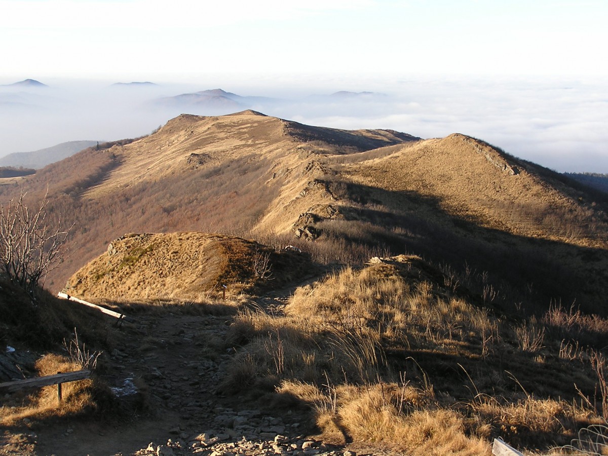 Zdjęcia: widok z Bukowego Berda, Bieszczady, Bieszczady_inwersja powietrza, POLSKA Zdjęcia: widok z Bukowego Berda, Bieszczady, Bieszczady_inwersja powietrza, POLSKA
