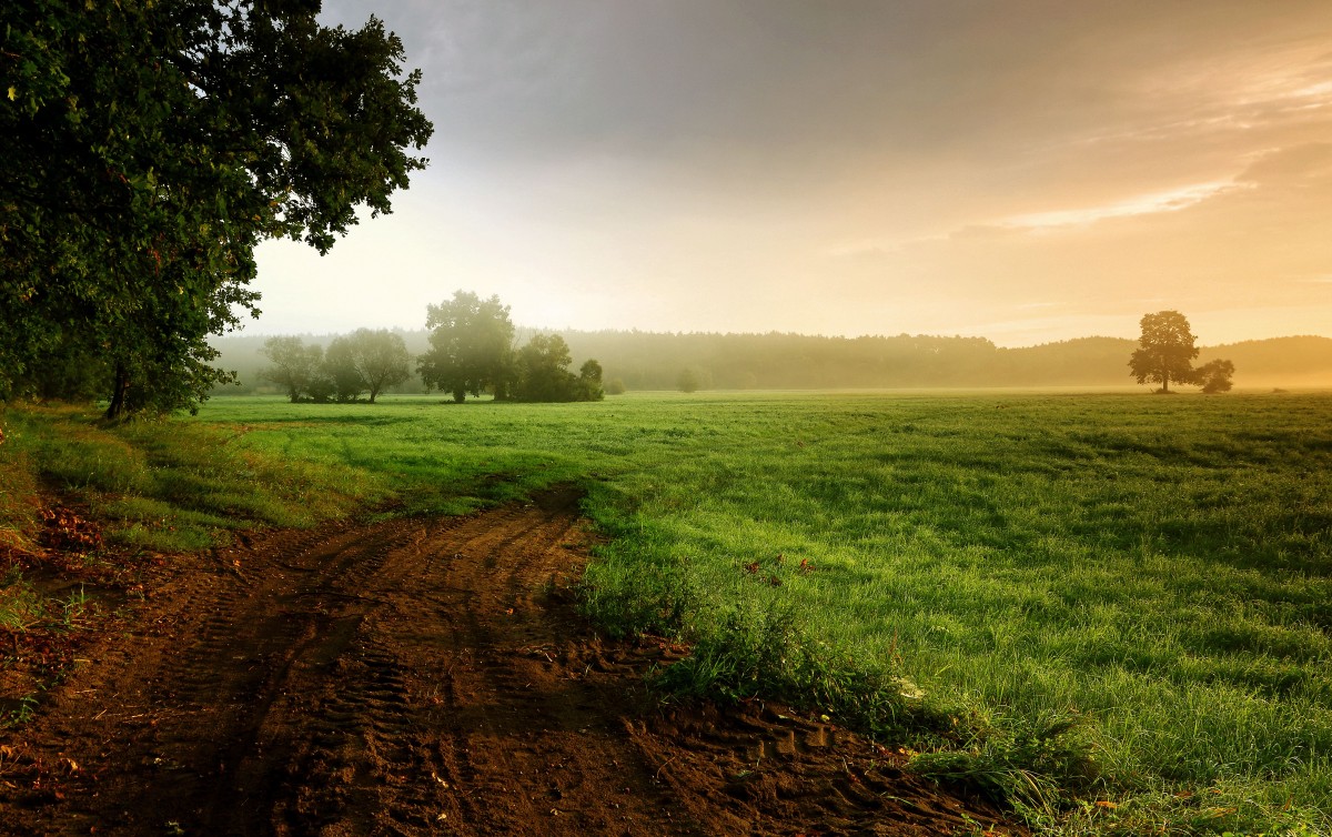 Zdjęcia: Nadnoteckie łęgi, pow-żniński,  Poranne sierpniowe mgły-2, POLSKA Zdjęcia: Nadnoteckie łęgi, pow-żniński,  Poranne sierpniowe mgły-2, POLSKA