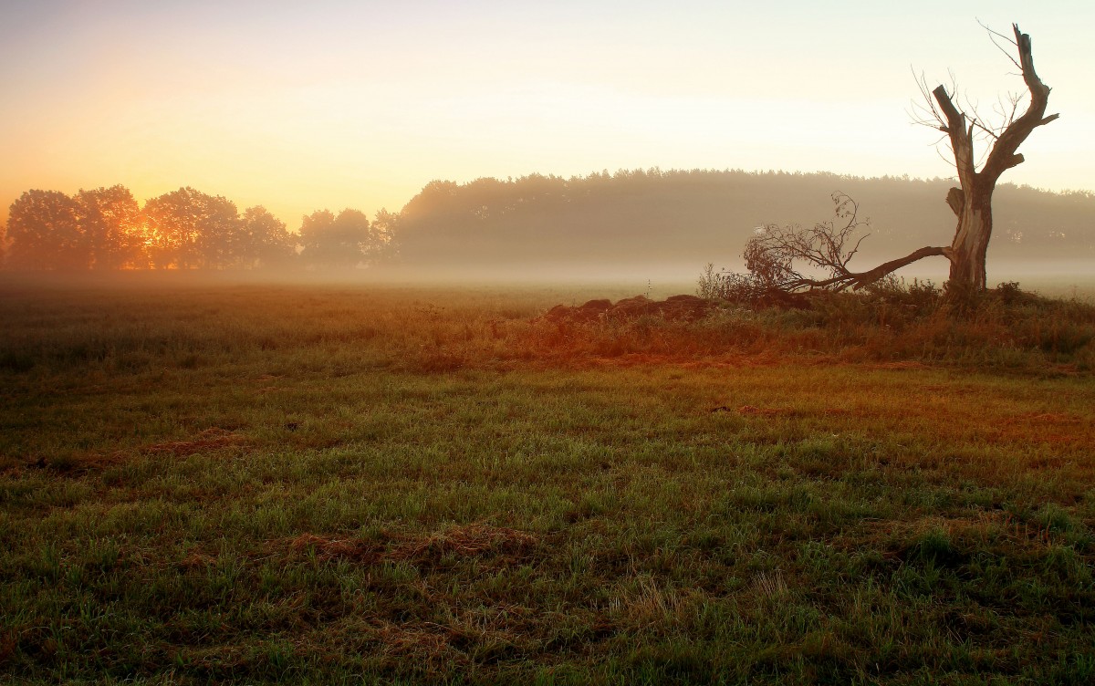 Zdjęcia: Nadnoteckie łęgi, pow-żniński, Gdy cień słońcu umyka!, POLSKA Zdjęcia: Nadnoteckie łęgi, pow-żniński, Gdy cień słońcu umyka!, POLSKA