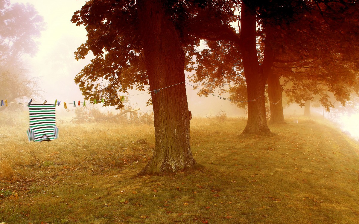 Zdjęcia: Dolina Noteci, pow-żniński,  Świetlny spektakl. , POLSKA Zdjęcia: Dolina Noteci, pow-żniński,  Świetlny spektakl. , POLSKA