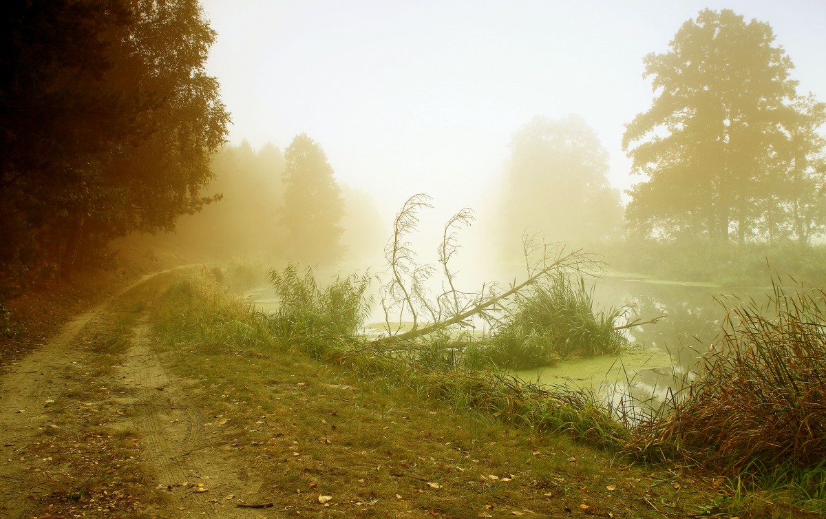 Zdjęcia: Nadnoteckie łęgi, pow-żniński,  Noteckim szlakiem, POLSKA Zdjęcia: Nadnoteckie łęgi, pow-żniński,  Noteckim szlakiem, POLSKA