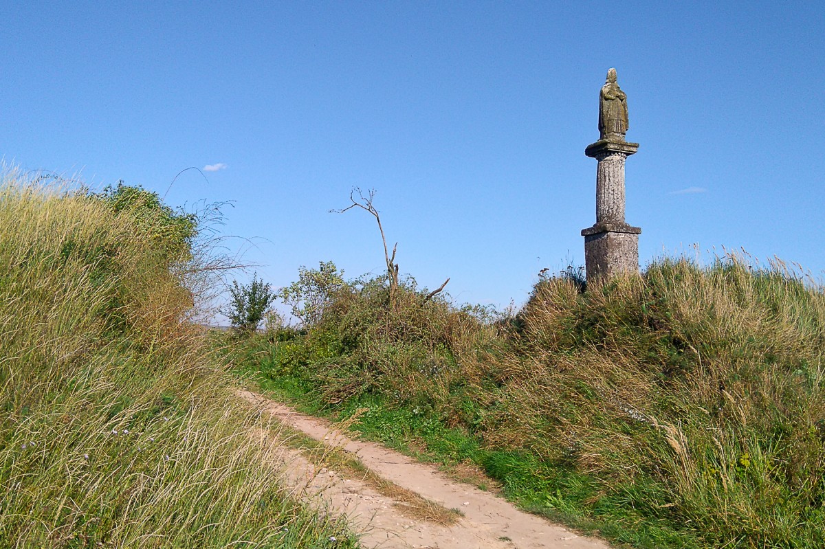 Zdjêcia: gmina Z³ota, ¦wiêtokrzyskie, ¦wiadek, POLSKA Zdjêcia: gmina Z³ota, ¦wiêtokrzyskie, ¦wiadek, POLSKA