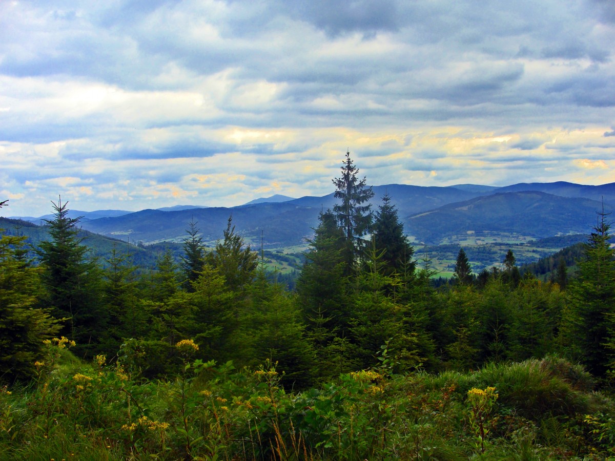 Zdjęcia: /-, Beskid Żywiecki, Na szlaku, POLSKA Zdjęcia: /-, Beskid Żywiecki, Na szlaku, POLSKA