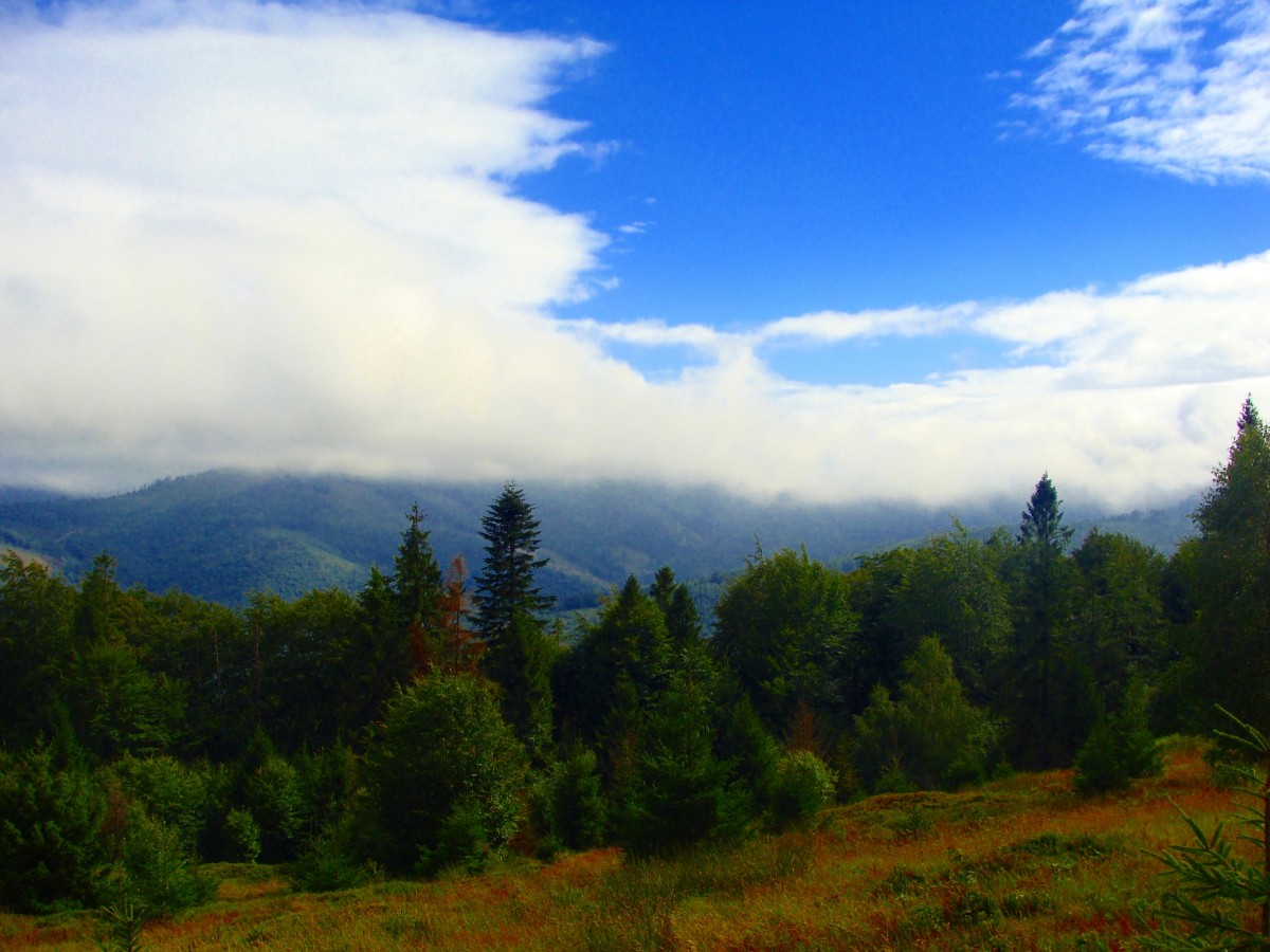 Zdjęcia: /-, Beskid Żywiecki, Na szlaku, POLSKA Zdjęcia: /-, Beskid Żywiecki, Na szlaku, POLSKA