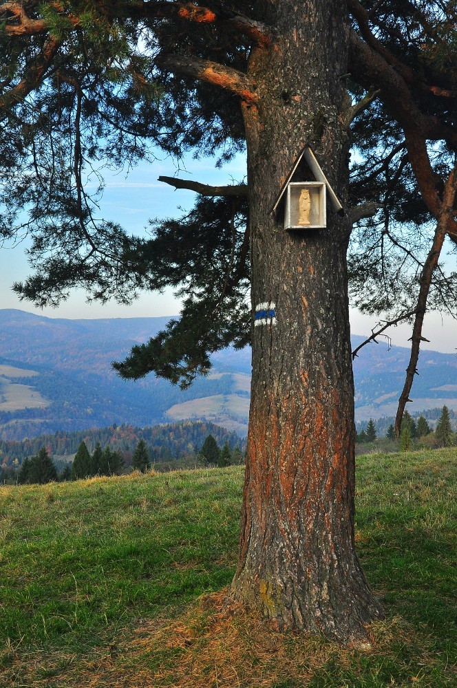 Zdjęcia: ...nie pamiętam, Pieniny, Chrystus frasobliwy...chyba?, POLSKA Zdjęcia: ...nie pamiętam, Pieniny, Chrystus frasobliwy...chyba?, POLSKA